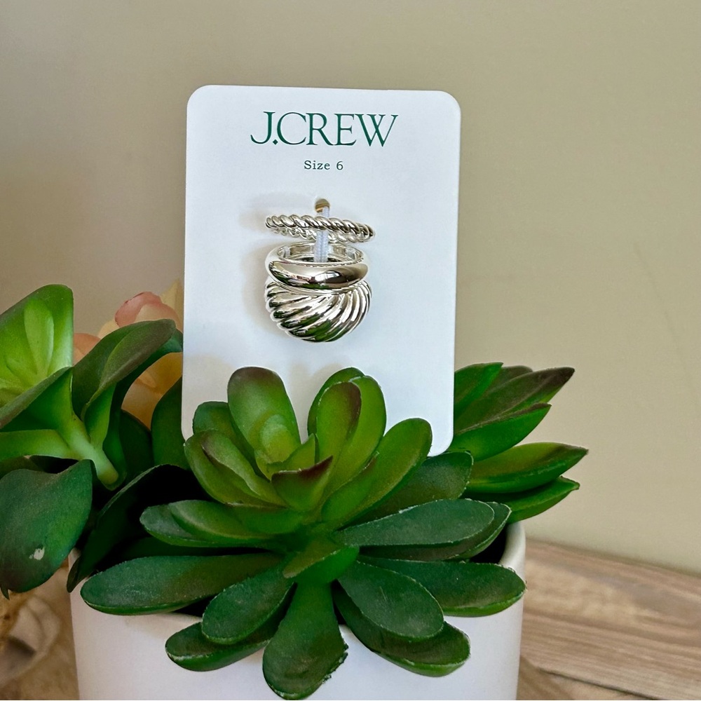 J. Crew Sculptural Silver Ring Set 🆕